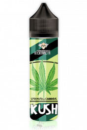 elfbar nachfüll pod läuft aus E-liquide Og Kush 1000mg - Arômes authentiques 10% CBD main image 0